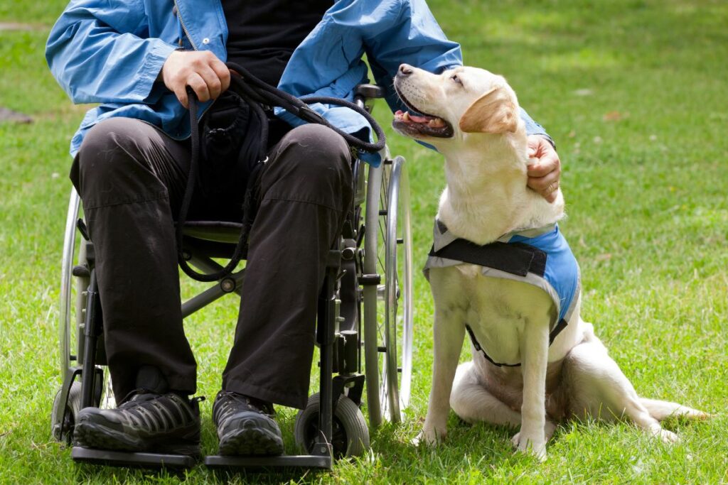 Disability Emergency Planning Guide
